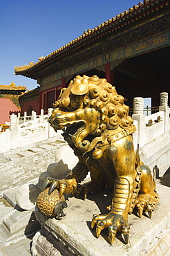 A gold lion statue, Zijin Cheng, The Forbidden City Palace Museum, UNESCO World Heritage Site, Beijing, China, Asia