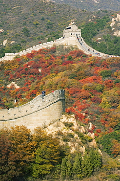 Autumn colours and a watch tower on The Great Wall of China, UNESCO World Heritage Site, Badaling, China, Asia