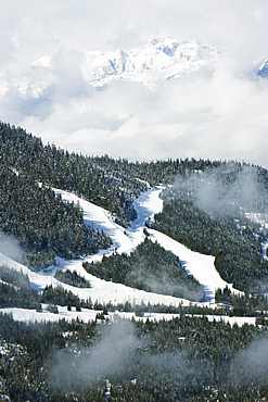 Tree lined ski slopes, Whistler mountain resort, venue of the 2010 Winter Olympic Games, British Columbia, Canada, North America