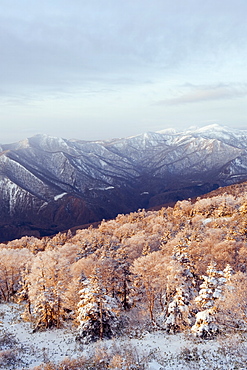 Sunrise over snow covered Towada Hachimantai National Park, Iwate prefecture, Japan, Asia