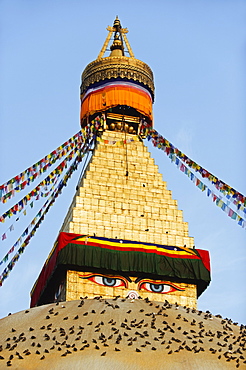 Pigeons and prayer flags on Boudha Stupa (Chorten Chempo), Boudhanath, Kathmandu, Nepal, Asia