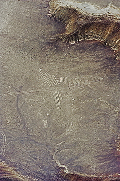 Hummingbird, Lines and Geoglyphs of Nasca, UNESCO World Heritage Site, Peru, South America