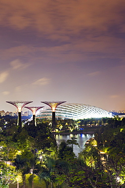 Gardens by the Bay Cloud Forest Botanic Garden, Singapore, Southeast Asia, Asia