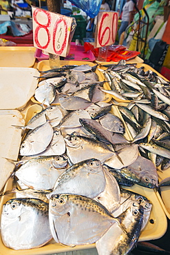 Fish for sale at the public market, Dumaguete, Cebu, The Visayas, Philippines, Southeast Asia, Asia