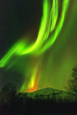 Aurora borealis (Northern Lights) on Kungsleden (Kings Trail), Abisko National Park, Lapland, Arctic Circle, Sweden, Scandinavia, Europe