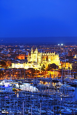 La Seu Cathedral, Palma de Mallorca, Majorca, Balearic Islands, Spain, Mediterranean, Europe