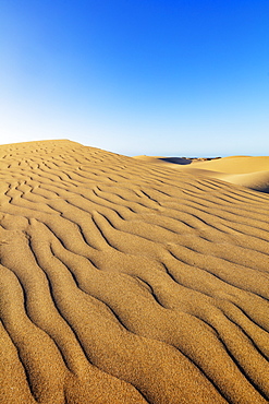 Dunes of Maspalomas Nature Reserve, Gran Canaria, Canary Islands, Spain, Atlantic, Europe