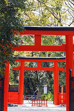 Cyclist passing a Shinto shrine torii gate, Kyoto, Japan, Asia