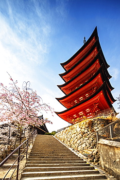 Cherry blossom at Komyoin five story pagoda, UNESCO World Heritage Site, Miyajima Island, Hiroshima Prefecture, Honshu, Japan, Asia