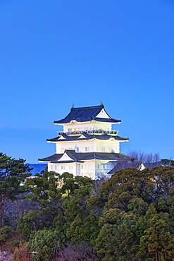 Odawara Castle, Odawara, Kanagawa Prefecture, Honshu, Japan, Asia