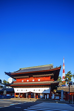 Tokyo Tower and Zojoji Temple, Roppongi, Tokyo, Japan, Asia