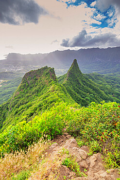 Three Peaks trail, Oahu Island, Hawaii, United States of America, North America