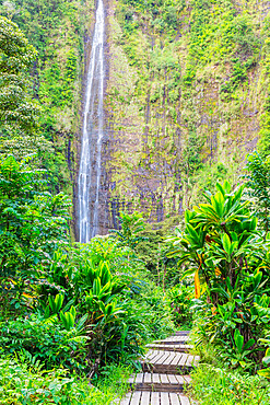 Pipiwai trail, Waimoku falls, Haleakala National Park, Maui Island, Hawaii, United States of America, North America