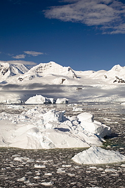 Gerlache Strait, Antarctic Peninsula, Antarctica, Polar Regions