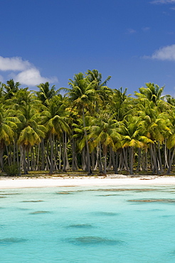 Fakarawa, Tuamotu Archipelago, French Polynesia, Pacific Islands, Pacific