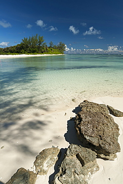 Denis Island, Seychelles, Indian Ocean, Africa