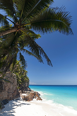 Anse Macquereau, Fregate Island, Seychelles, Indian Ocean, Africa