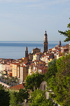 St. Michel church and the old town of Menton, Provence-Alpes-Cote d'Azur, French Riviera, France, Mediterranean, Europe 