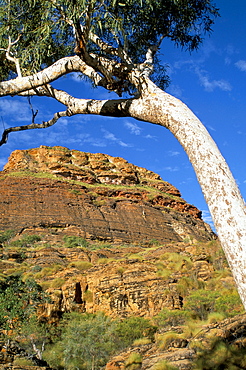 Keep River National Park, Northern Territory, Australia, Pacific