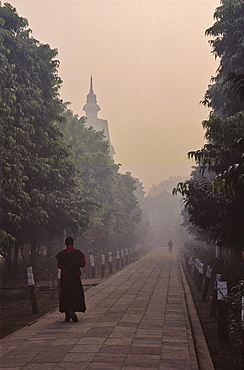 Monk on path to Mulgandha Kuti Vihar (temple), Sarnath, Uttar Pradesh, India, Asia