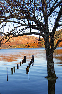 High water, Ullswater shore, Glenridding, Ullswater, Lake District National Park, UNESCO World Heritage Site, Cumbria, England, United Kingdom, Europe