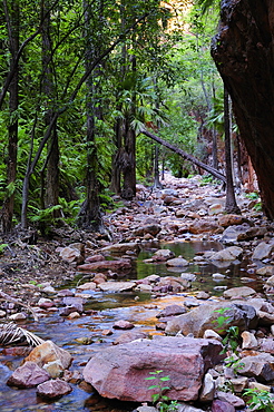 El Questro Gorge, Kimberley, Western Australia, Australia, Pacific