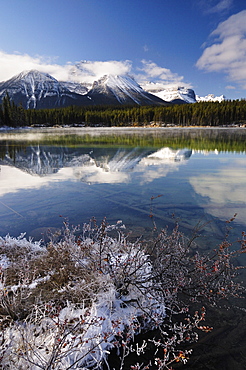 Herbert Lake and Bow Range, Banff National Park, UNESCO World Heritage Site, Rocky Mountains, Alberta, Canada, North America