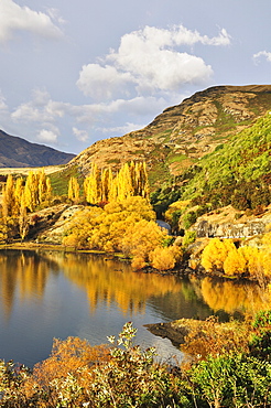 Glendhu Bay, Lake Wanaka, Otago, South Island, New Zealand, Pacific