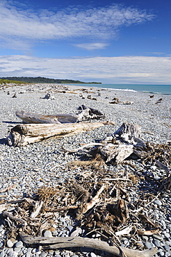 Driftwood, Gillespies Beach, Westland Tai Poutini National Park, UNESCO World Heritage Site, West Coast, South Island, New Zealand, Pacific