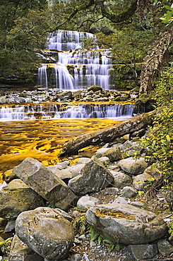 Liffey Falls, UNESCO World Heritage Site, Tasmania, Australia, Pacific