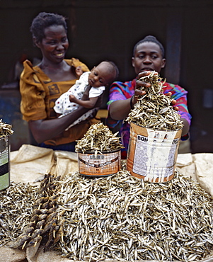 Dried fish for sale, Jinja market, Uganda, East Africa, Africa