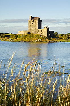 Dunguaire (Dungory) Castle, Kinvarra, County Galway, Connacht, Republic of Ireland (Eire), Europe