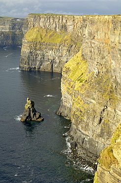 Cliffs of Moher, County Clare, Munster, Republic of Ireland, Europe