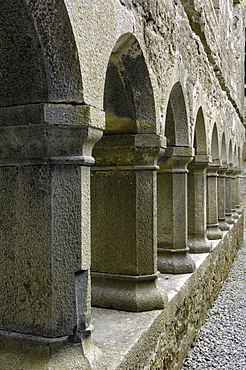 Cloister, Ross Errilly Franciscan Friary, near Headford, County Galway, Connacht, Republic of Ireland, Europe