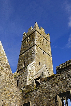 Ross Errilly Franciscan Friary, near Headford, County Galway, Connacht, Republic of Ireland, Europe