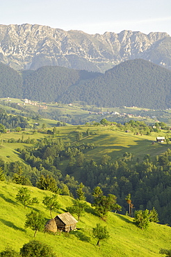 Transylvanian Alps, near Fundata, Transylvania, Romania, Europe