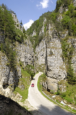 Dambovicioara Gorge, near Podu Dambovitei, Wallachia, Romania, Europe