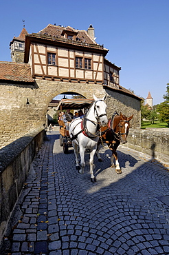 Tourist horse and carriage passing through the Rodertor (Roder Gate), gate in the city walls, Rothenburg ob der Tauber, Bavaria (Bayern), Germany, Europe