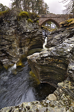 Linn of Dee, near Braemar, Cairngorms National Park, Aberdeenshire, Scotland, United Kingdom, Europe