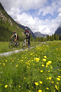 Cyclists riding through an alpine meadow, Valle di Landro, Hohlensteintal, Dolomites, Italy, Europe