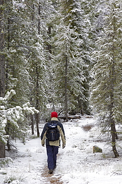 Hiking in the first snow of the winter, Sawtooth Mountains, Rocky Mountains, Idaho, United States of America, North America