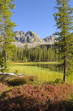 Fall colours around Lower Cramer Lake, Sawtooth Mountains, Sawtooth Wilderness, Sawtooth National Recreation Area, Rocky Mountains, Idaho, United States of America, North America