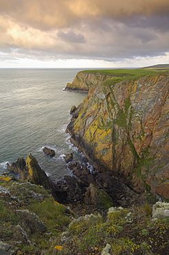 Mull of Galloway, Scotland's most southerly point, Rhins of Galloway, Dumfries and Galloway, Scotland, United Kingdom, Europe