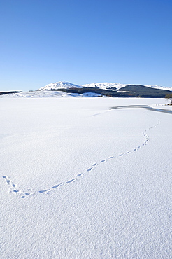 Clatteringshaws Loch, frozen and covered in winter snow, Dumfries & Galloway, Scotland