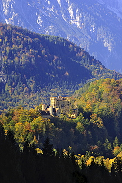 Schloss Hohenschwangau, castle near Fussen, Bavaria (Bayern), Germany, Europe