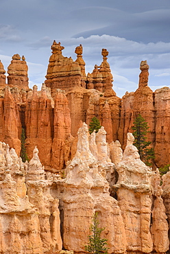 Bryce Canyon at dawn, from Sunset Point, Bryce Canyon National Park, Utah, United States of America, North America