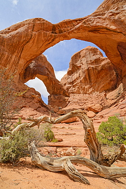 Double Arch, Windows Section, Arches National Park, Utah, United States of America, North America