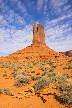 Monument Valley, West Mitten Butte, from Wildcat Trail, Arizona, United States of America, North America