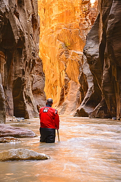 Virgin River Narrows, Zion National Park, Utah, United States of America, North America