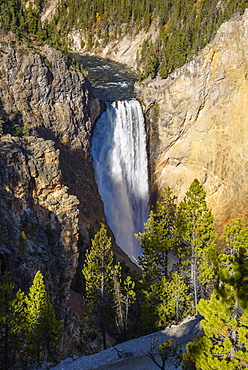 Lower Falls, Yellowstone River, Yellowstone National Park, UNESCO World Heritage Site, Wyoming, United States of America, North America